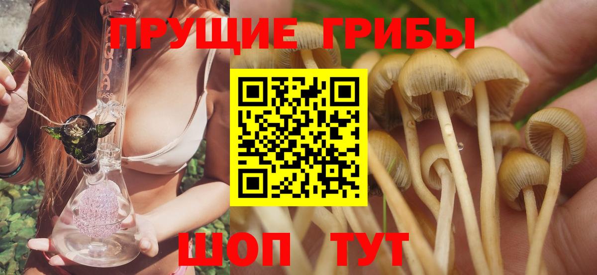 Псилоцибиновые грибы GOLDEN TEACHER  Псилоцибиновые грибы прущие грибы  как найти закладки  Вход с VPN  Сегежа 